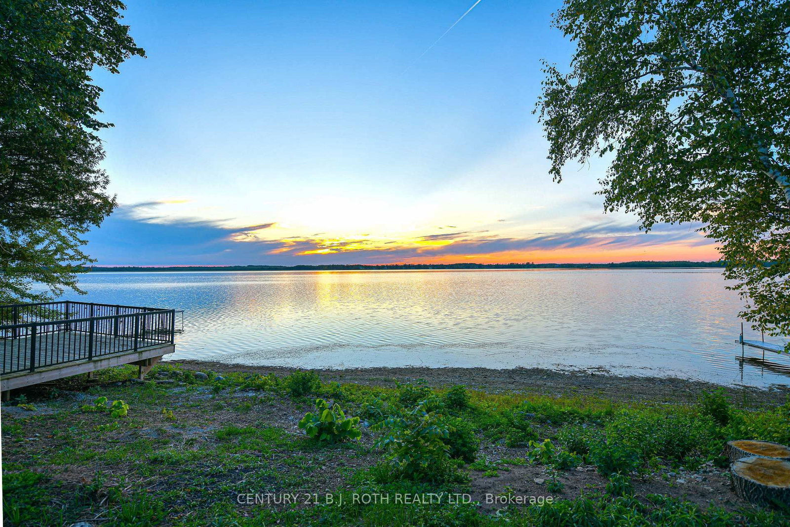 71 Campbell Beach Road • Kawartha Lakes, ON photo 9