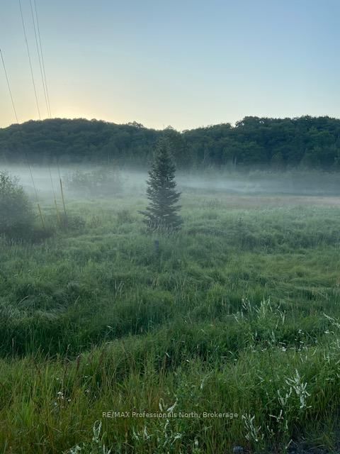 Part 3 Highway 118, Highlands East, K0L 2Y0 | Image 3