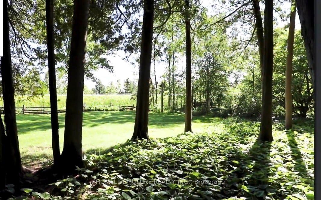 137 WOODLAND PARK Road - Photo 19