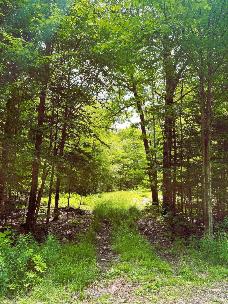 0 Peplinskie Rd, Combermere, K0J 1L0 | Image 2