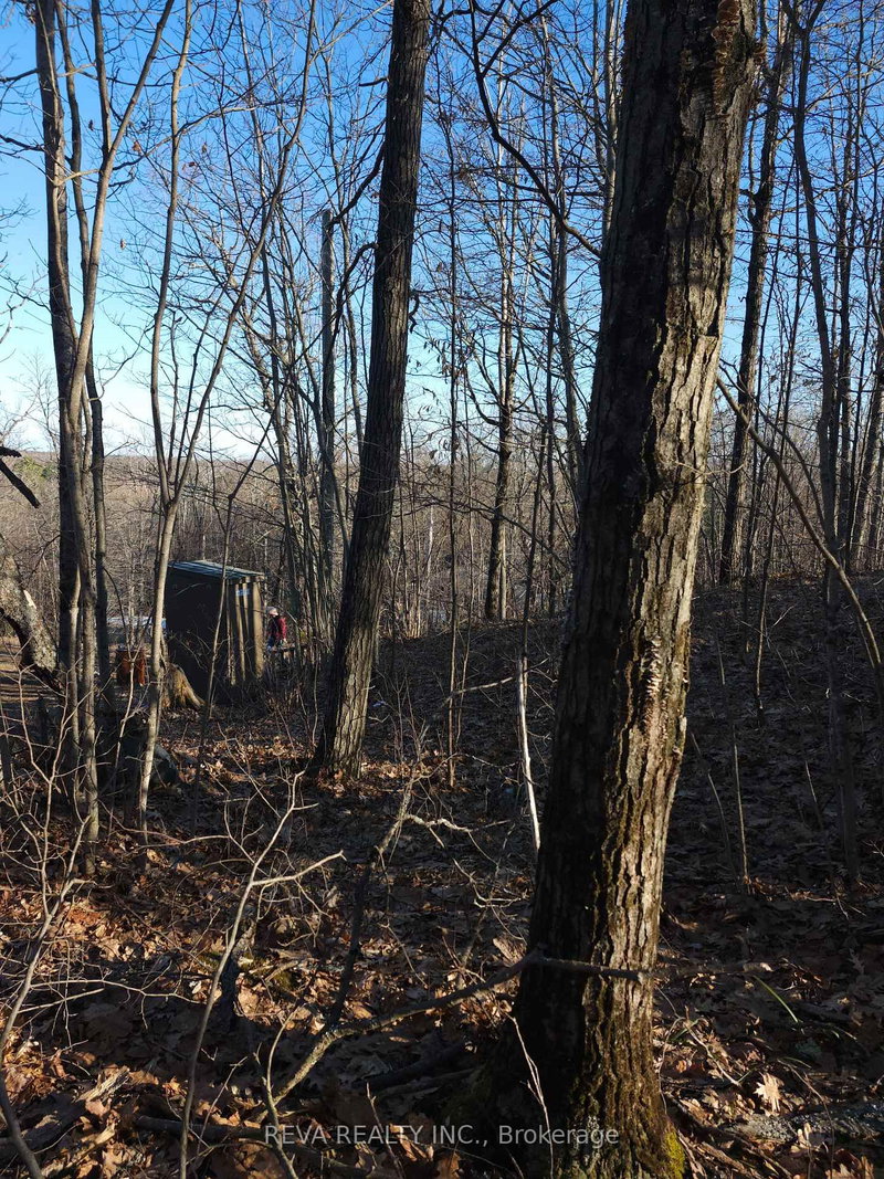 00 Baker Valley Rd, Frontenac, K0H 0B6 | Image 2