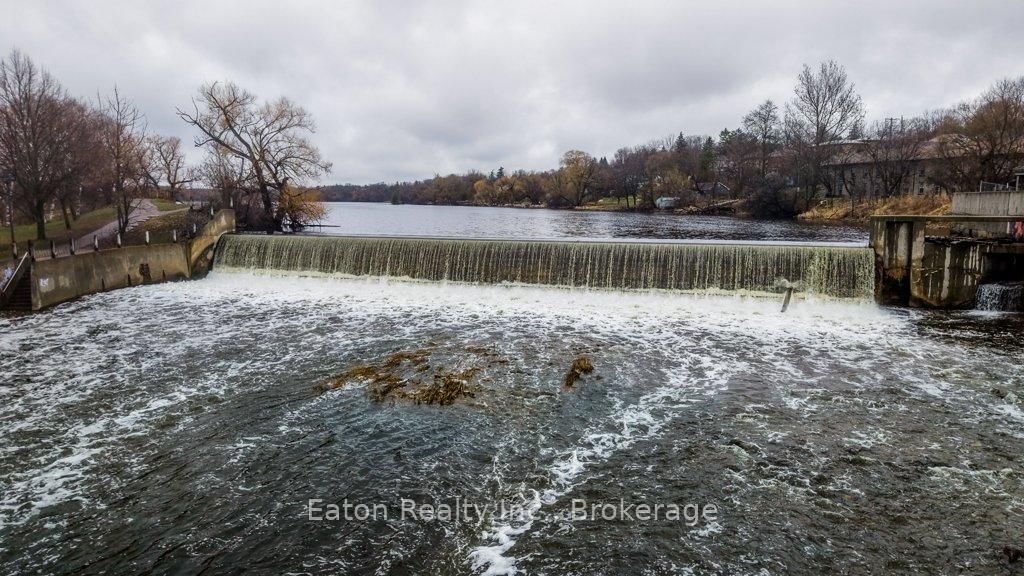 19 Guelph Avenue, Unit 5 - Photo 42