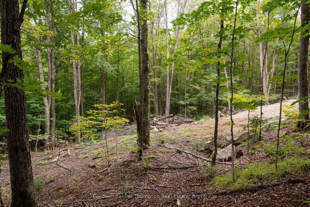 Lot 4 Emsdale Lake Road