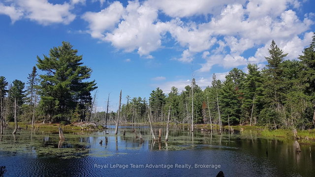 0 Unopened Road Allowance Road