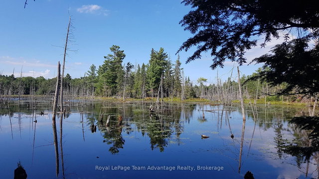 0 Unopened Road Allowance Road