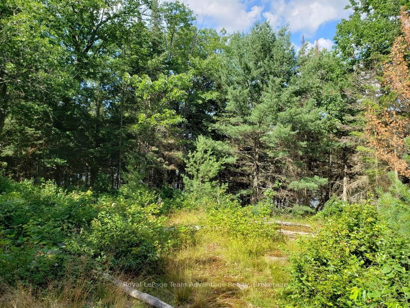 0 Unopened Road Allowance Rd, McKellar, P2A 2W7 | Image 3