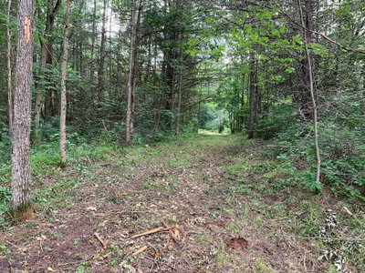 00 Con11 Pine Grove Road • Greater Napanee, ON photo 5