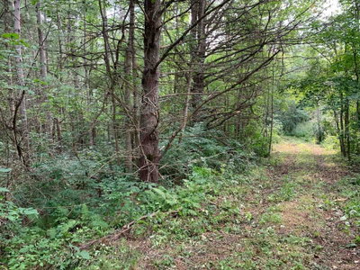 00 Con11 Pine Grove Road • Greater Napanee, ON photo 6