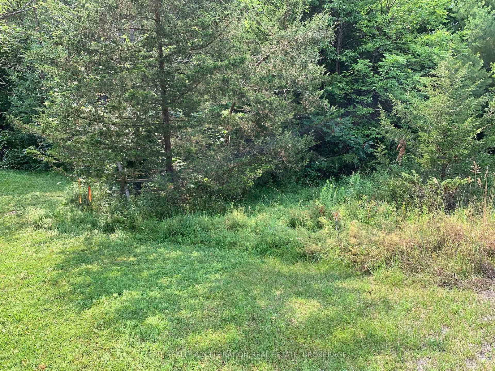 00 Con11 Pine Grove Road • Greater Napanee, ON photo 9