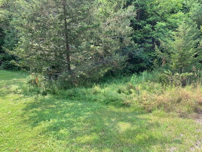 00 Con11 Pine Grove Road • Greater Napanee, ON photo 9
