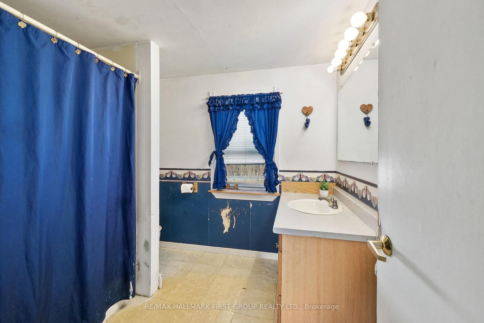 19 Halstead Road • Alnwick/Haldimand, ON photo 13