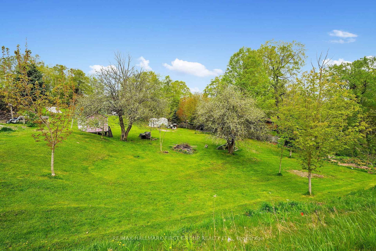 19 Halstead Road • Alnwick/Haldimand, ON photo 33