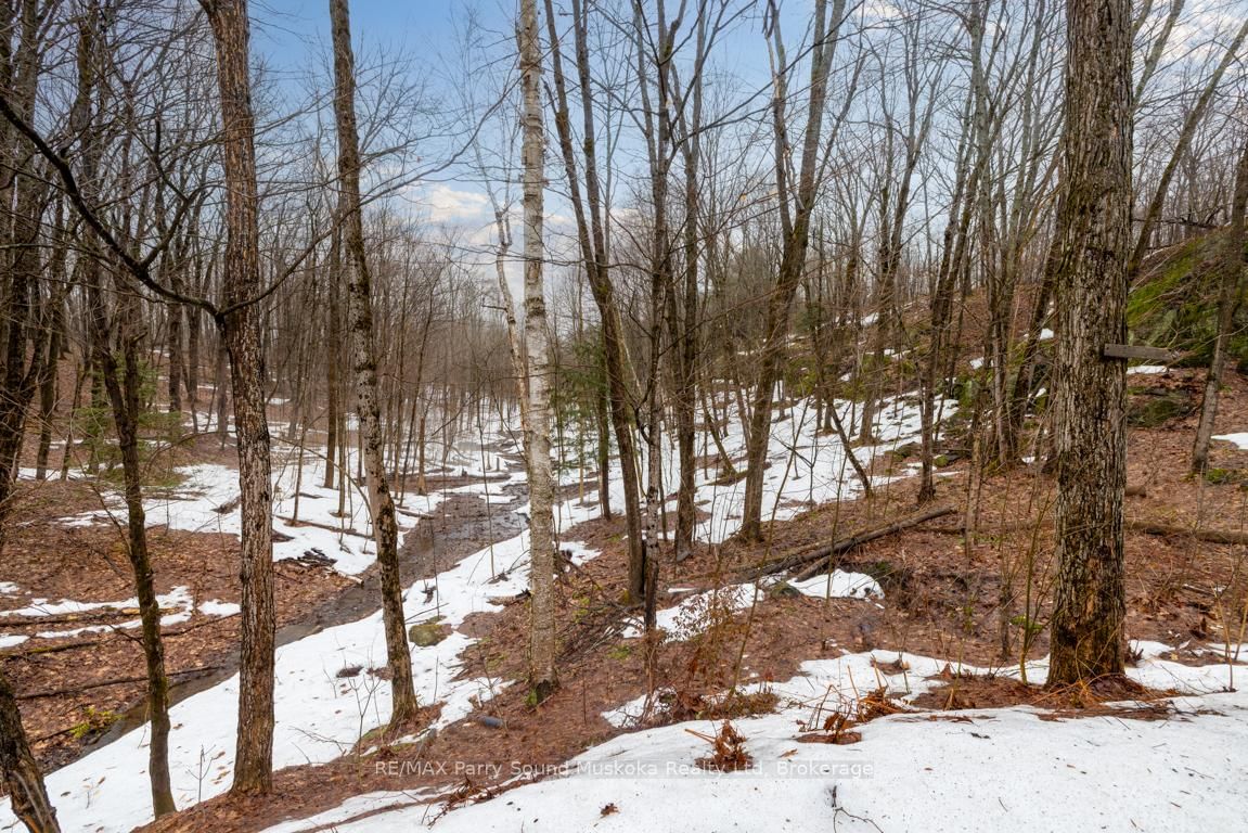 64 124 Highway • McDougall, ON photo 28