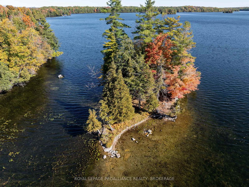 411 Indian Lake Rd, Rideau Lakes, K0G 1E0 | Image 3