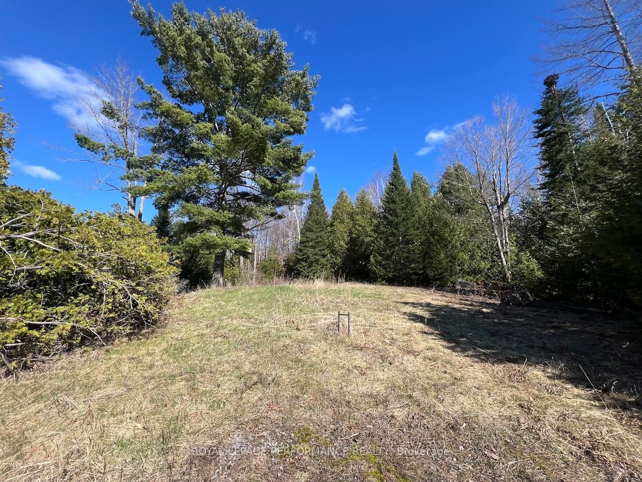 304 LACOURSE Lane • White Lake, ON photo 11