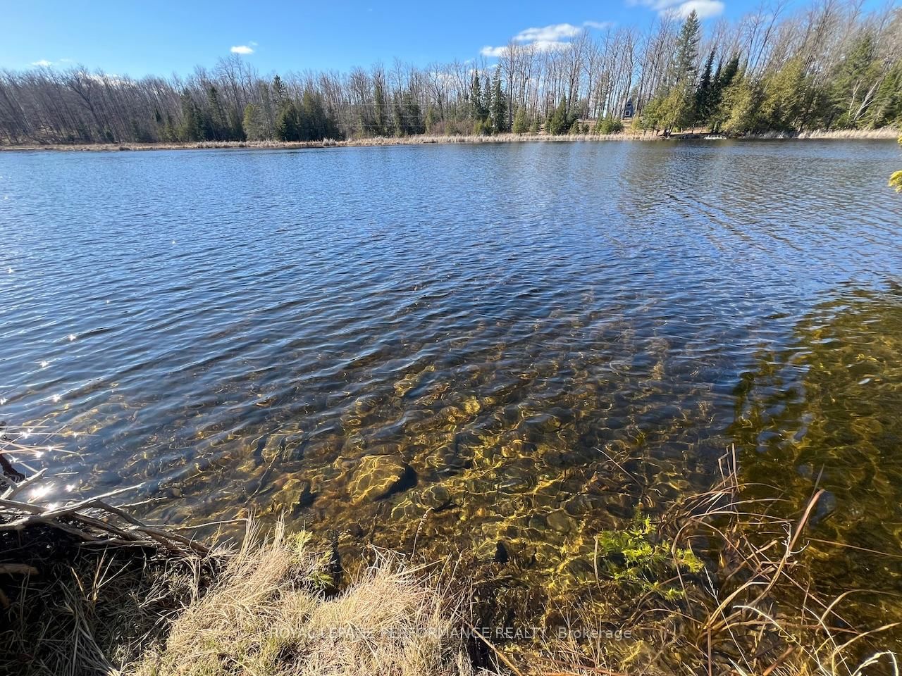 304 LACOURSE Lane • White Lake, ON photo 13