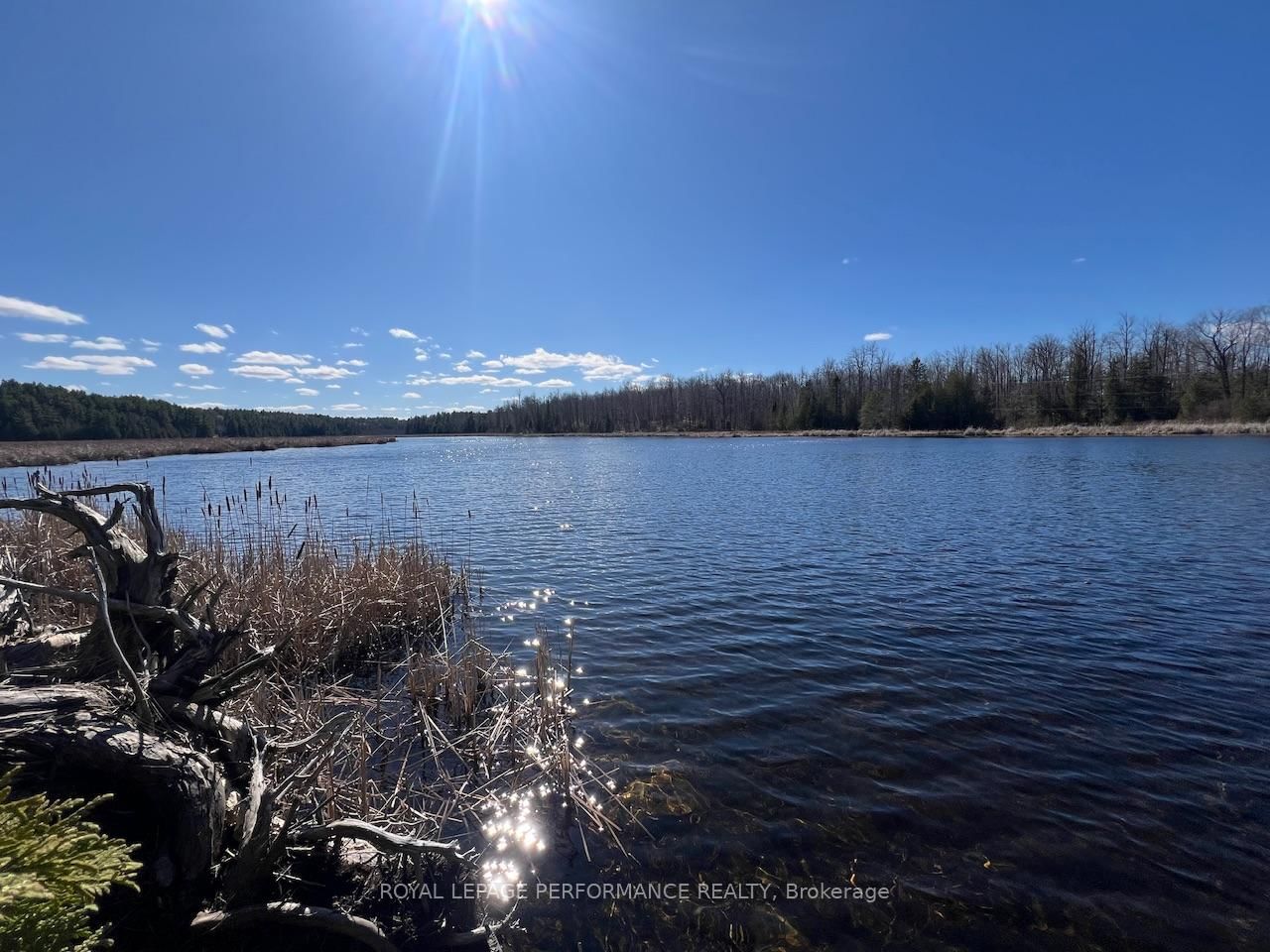 304 LACOURSE Lane • White Lake, ON photo 14