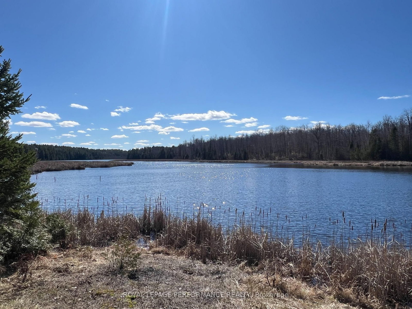 304 LACOURSE Lane • White Lake, ON photo 15
