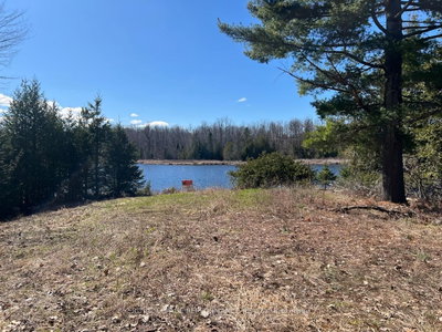 304 LACOURSE Lane • White Lake, ON photo 4