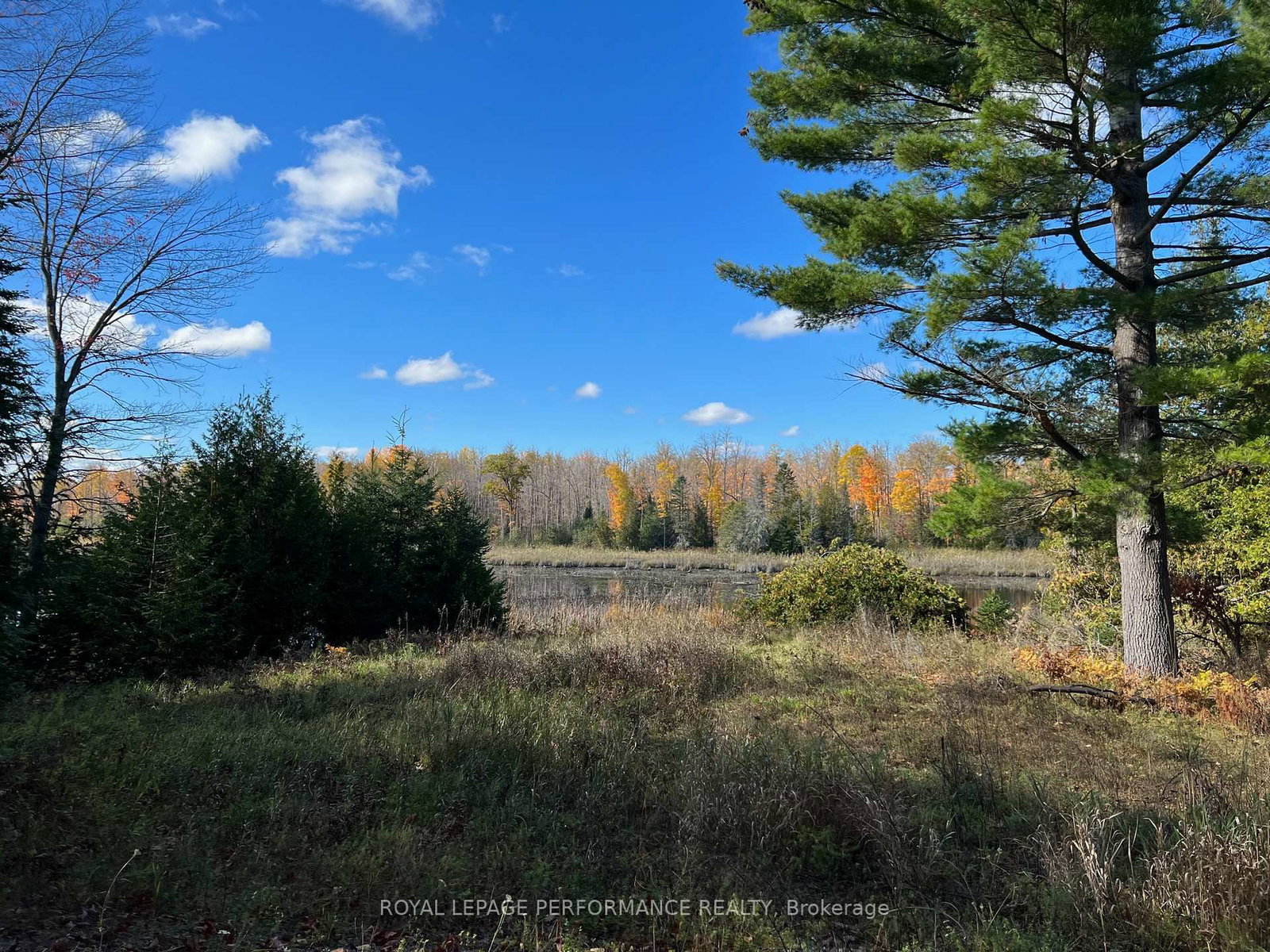 304 LACOURSE Lane • White Lake, ON photo 5