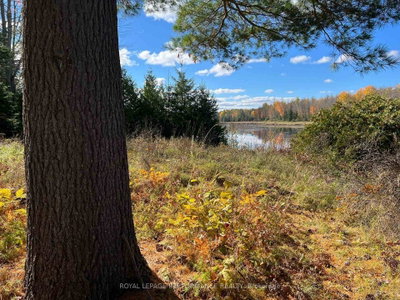 304 LACOURSE Lane • White Lake, ON photo 6