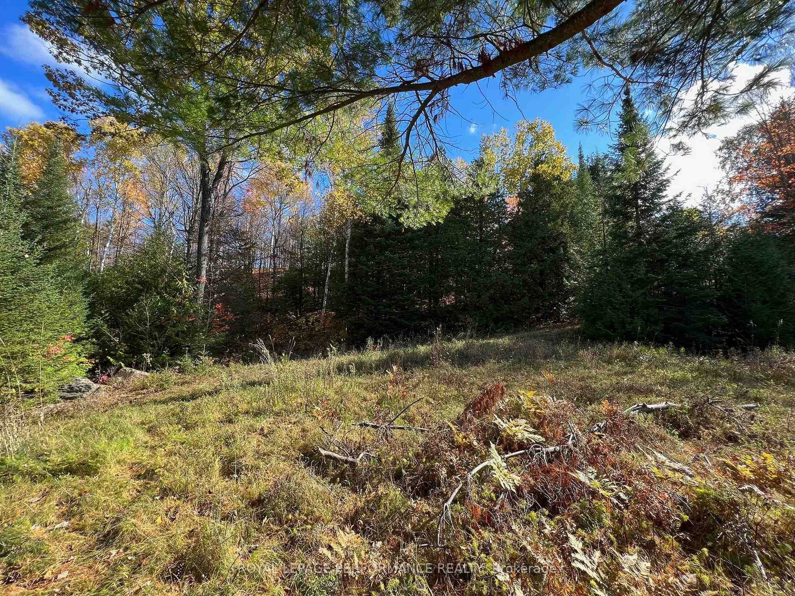 304 LACOURSE Lane • White Lake, ON photo 8