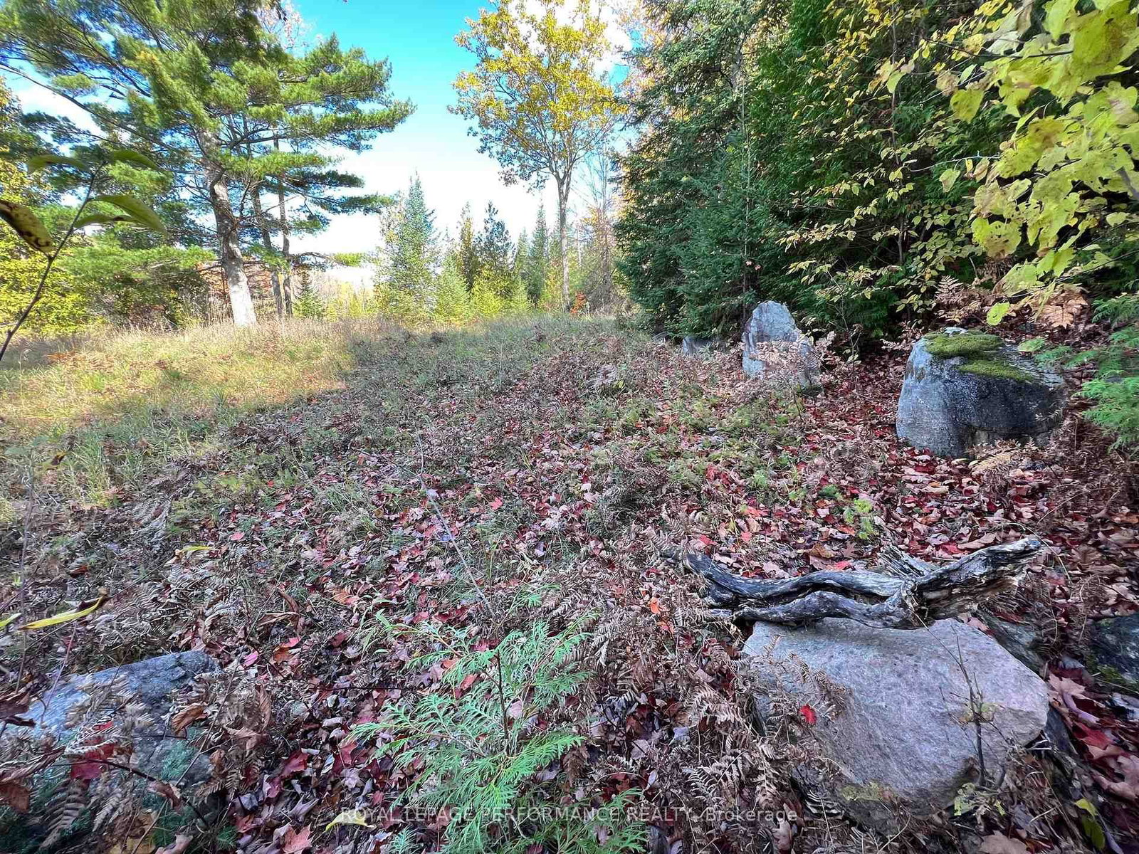 304 LACOURSE Lane • White Lake, ON photo 9