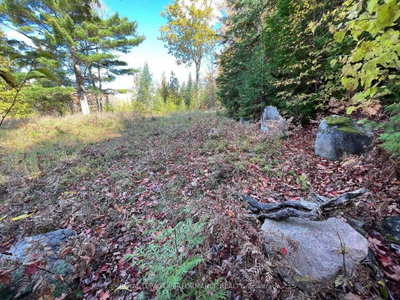 304 LACOURSE Lane • White Lake, ON photo 9