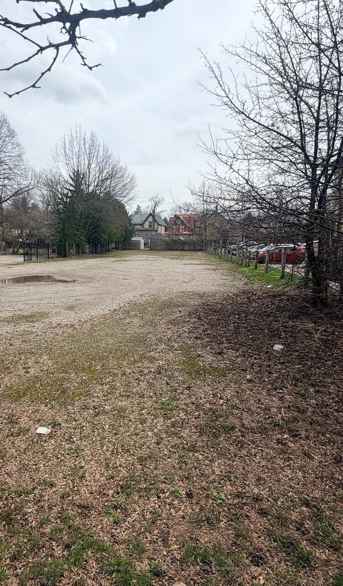 237 Frederick Street - Photo 6