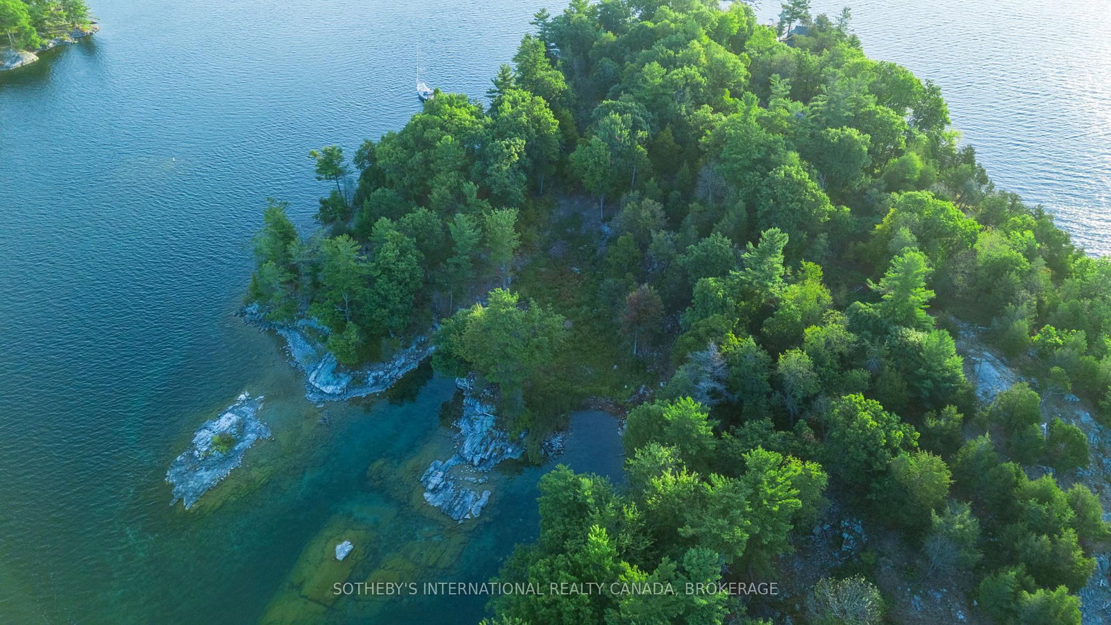 1 Dumfounder Island • Front of Leeds & Seeleys Bay, ON photo 10