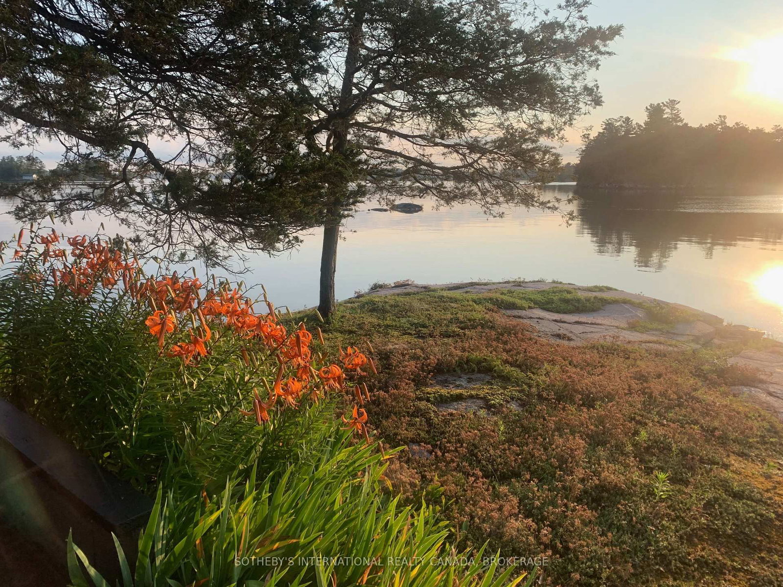 1 Dumfounder Island • Front of Leeds & Seeleys Bay, ON photo 27