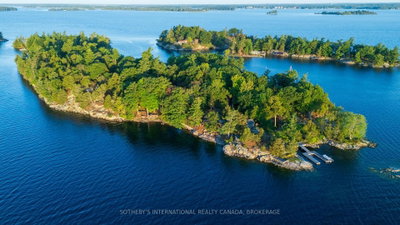 1 Dumfounder Island • Front of Leeds & Seeleys Bay, ON photo 4