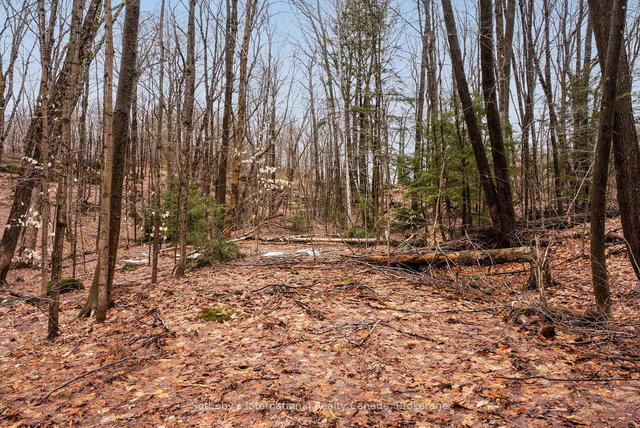 0 Trafalgar Bay Road