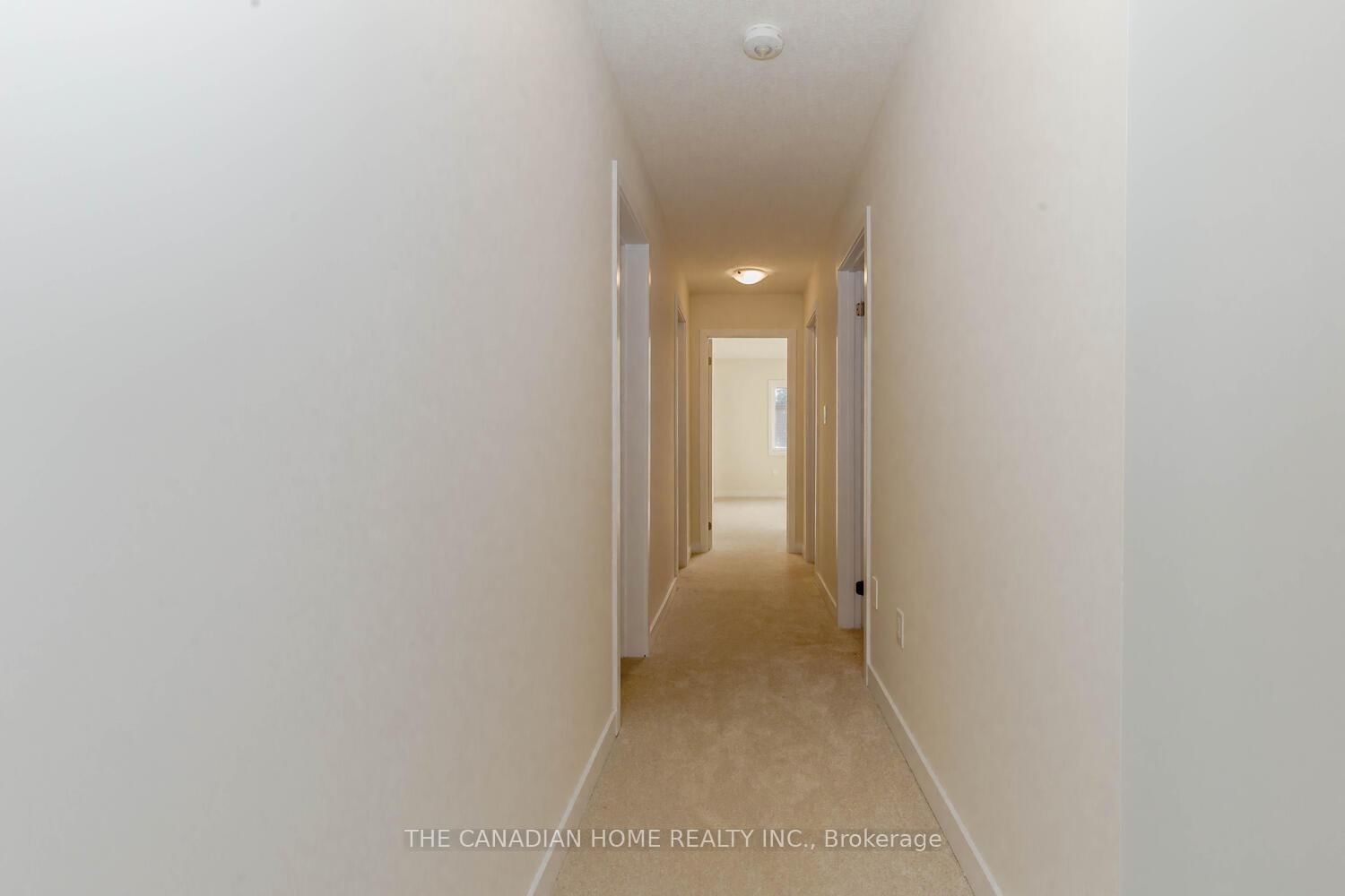 10 SUNFLOWER Crescent - Photo 26