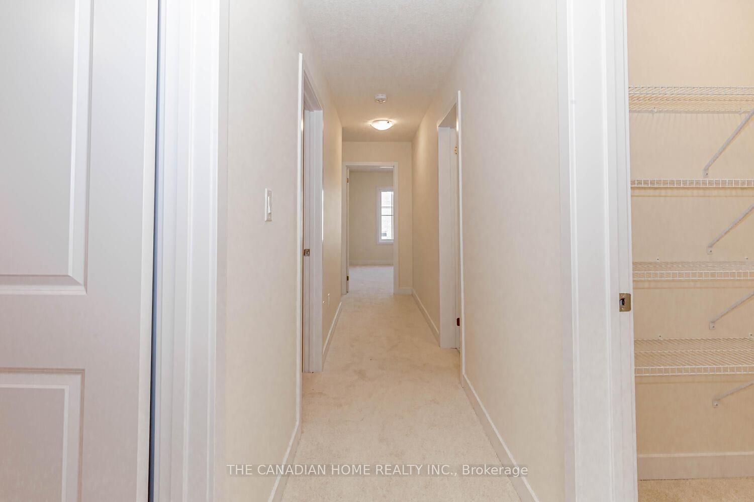 10 SUNFLOWER Crescent - Photo 35