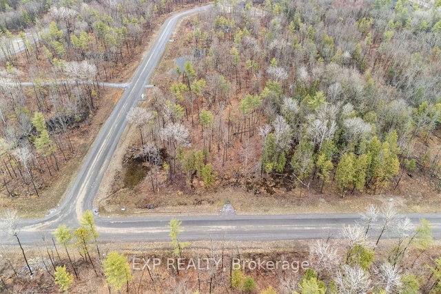 00 Black Spruce Court