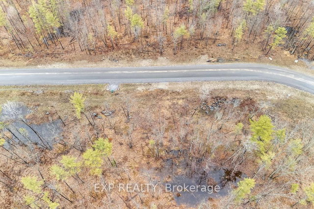 00 Black Spruce Court