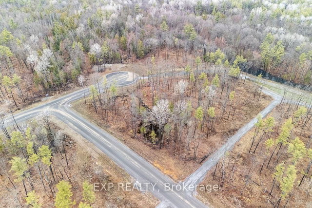 01 Black Spruce Court