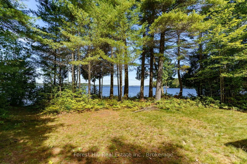 2 - 2991 Muskoka Rd 117 Road