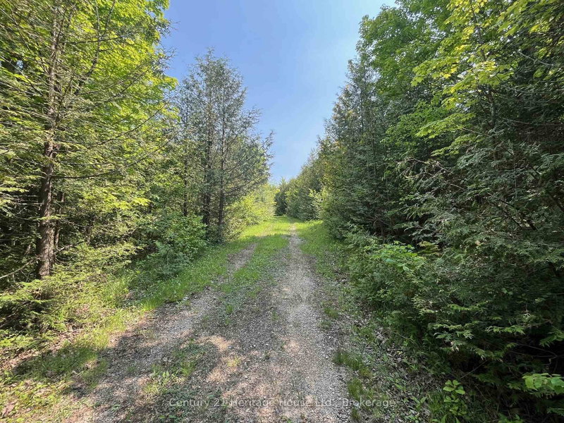502774 Sideroad 9 WGR