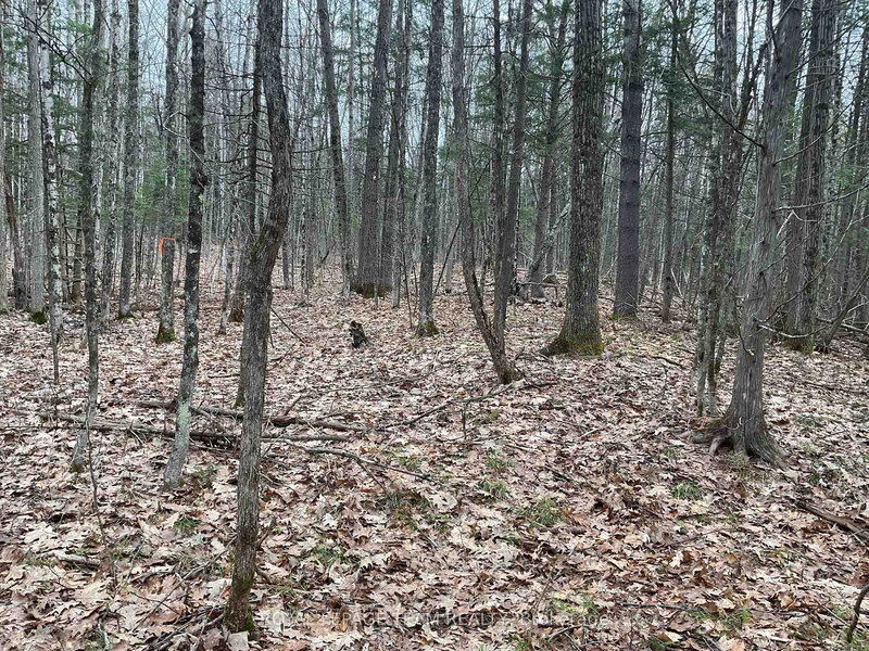 4430 Wolf Grove Rd, Carlsbad Springs, K0A 1K0 | Image 3