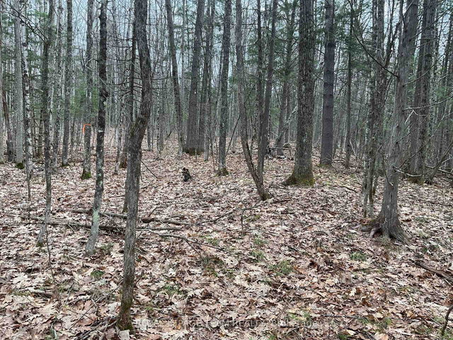 4430 Wolf Grove Road