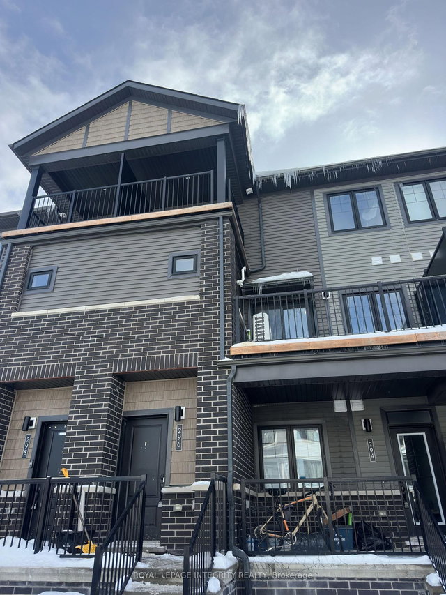 296 Anyolite Private