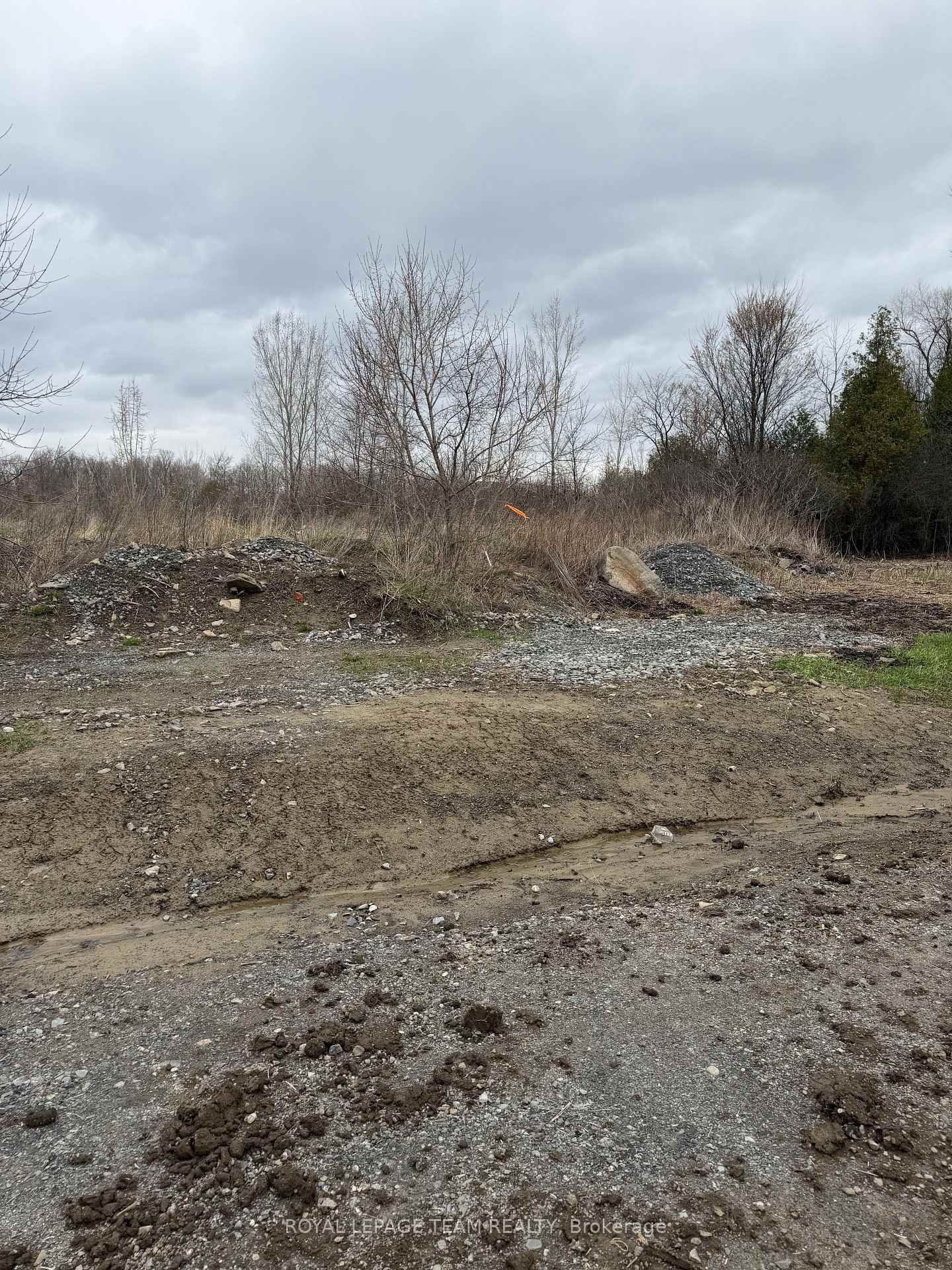 8050 Adam Baker Way • Metcalfe, ON photo 5
