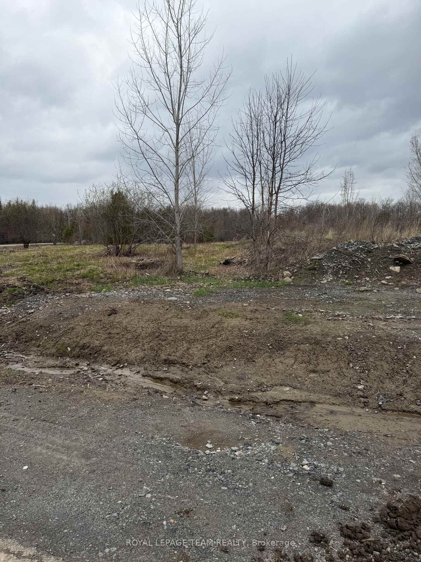 8050 Adam Baker Way • Metcalfe, ON photo 6