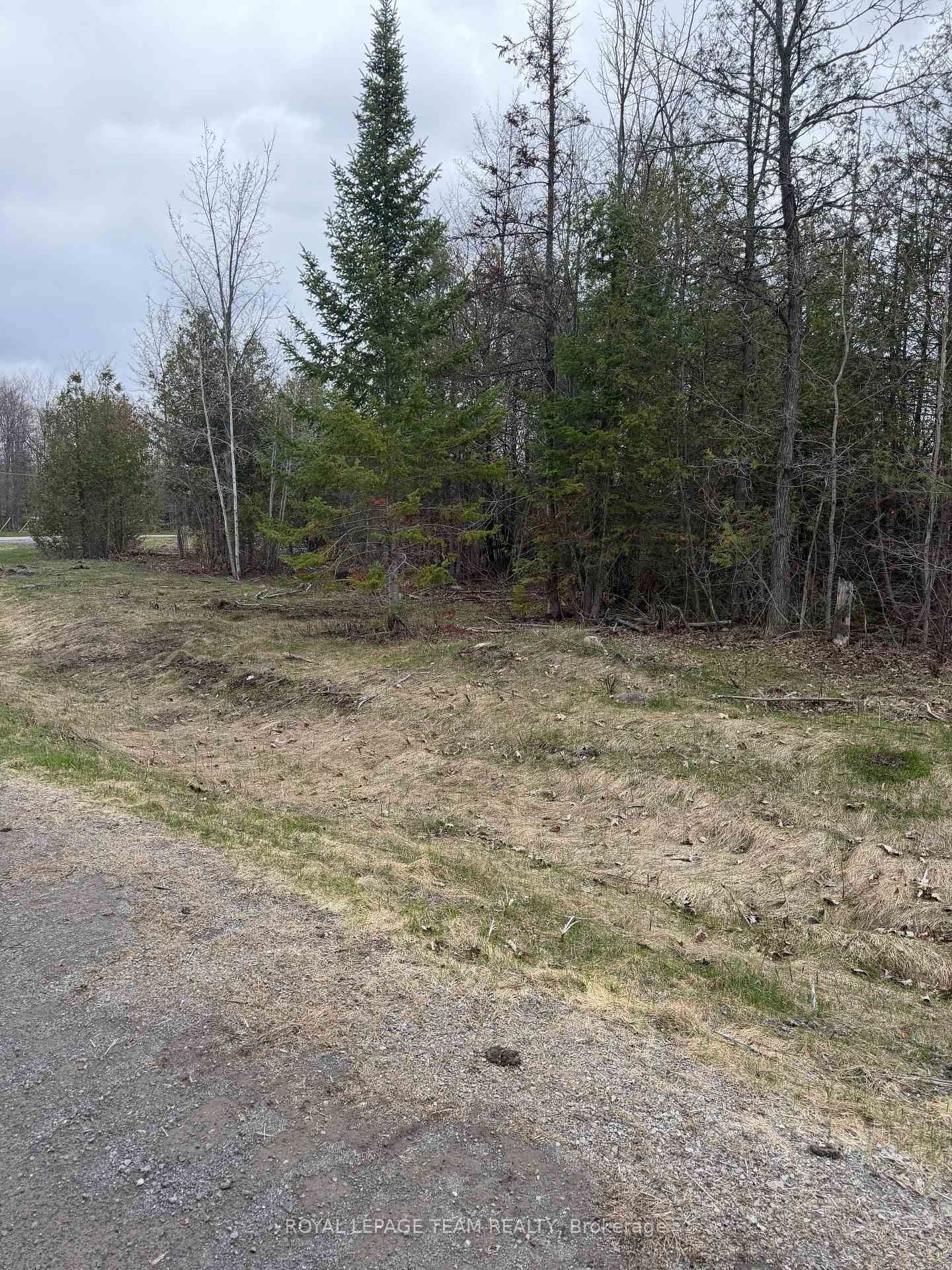 8074 Adam Baker Way • Metcalfe, ON photo 8
