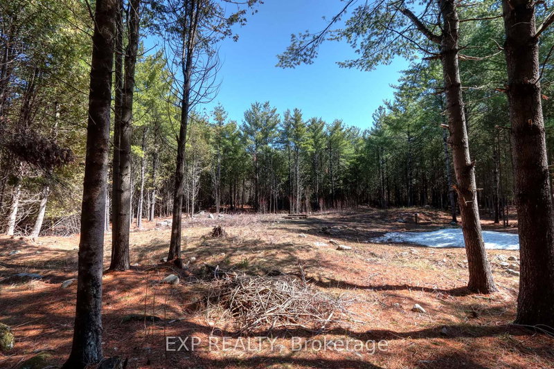 593 County 40 Rd, Douro-Dummer, K0L 2V0 | Image 2