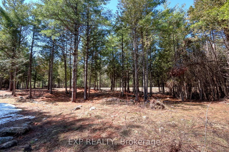 593 County 40 Road