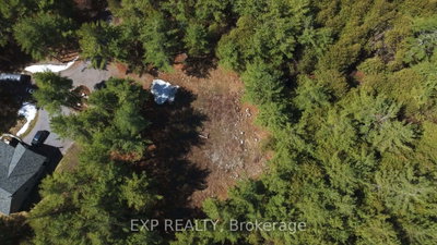593 County 40 Road • Douro-Dummer, ON photo 4