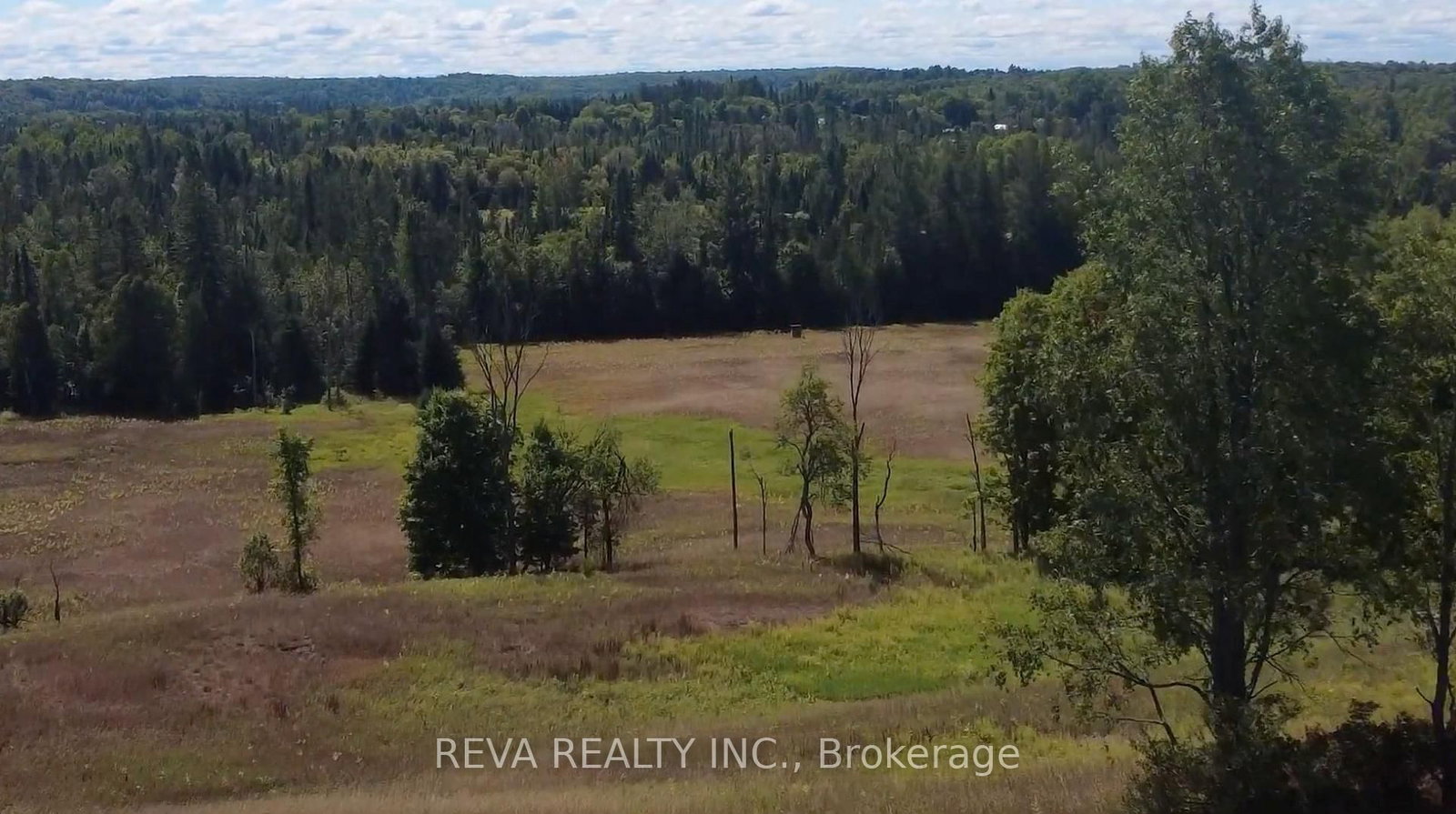 122 Albert Road • Coe Hill, ON photo 4
